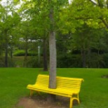 Tree Bench_Tyrone Alivio Share